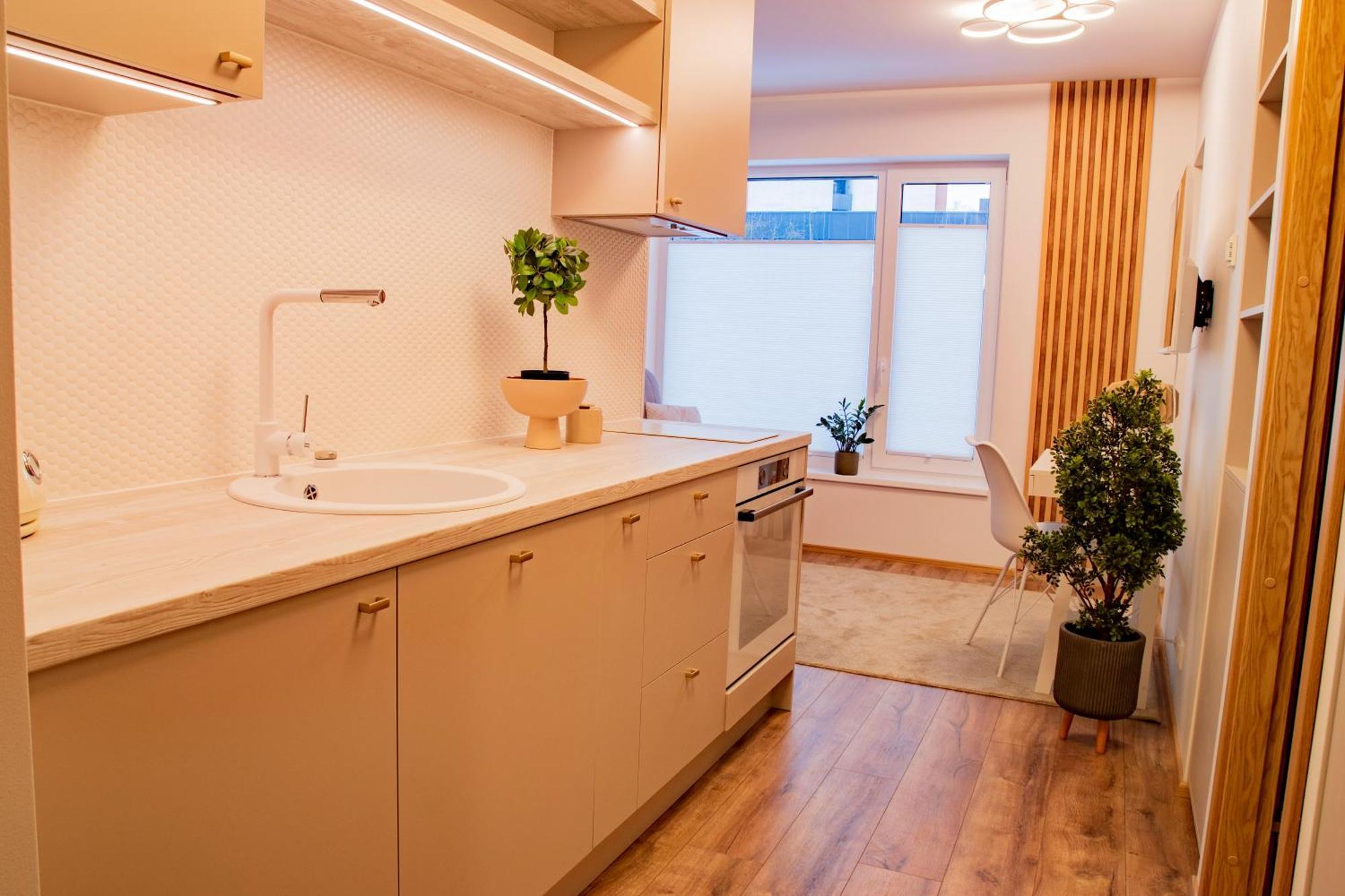 Express Premium Apartments - City Center Tartu Extérieur photo